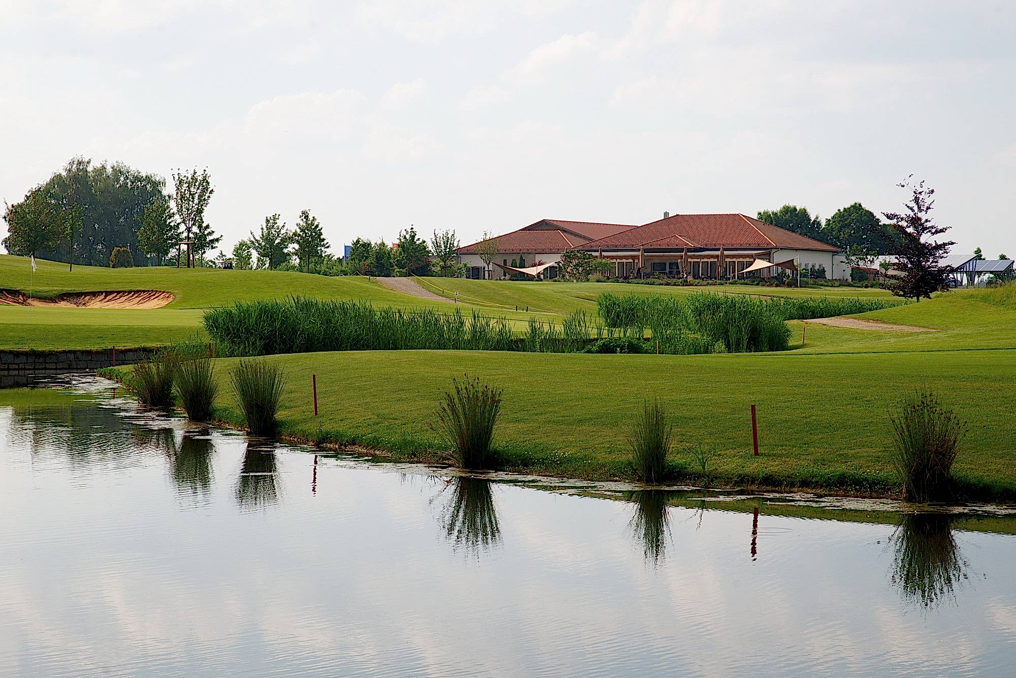 Schönes Schilf neben Green, im Hintergrund Clubhaus und Restaurant